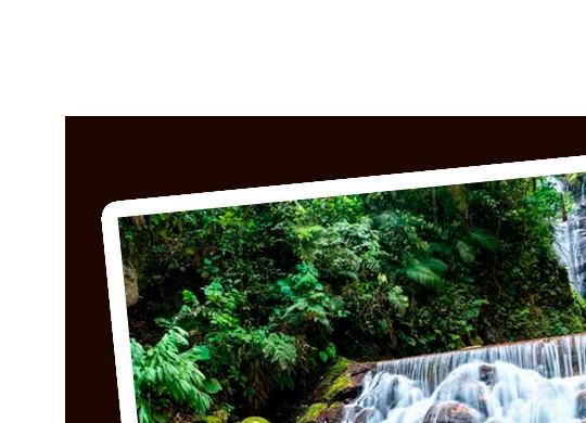 Catarata Río Tigre